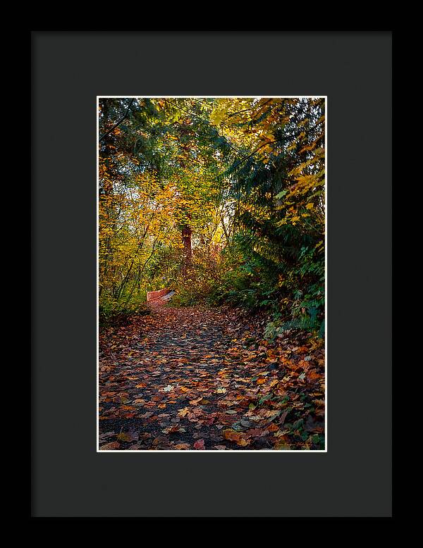Walk in the park - Framed Print