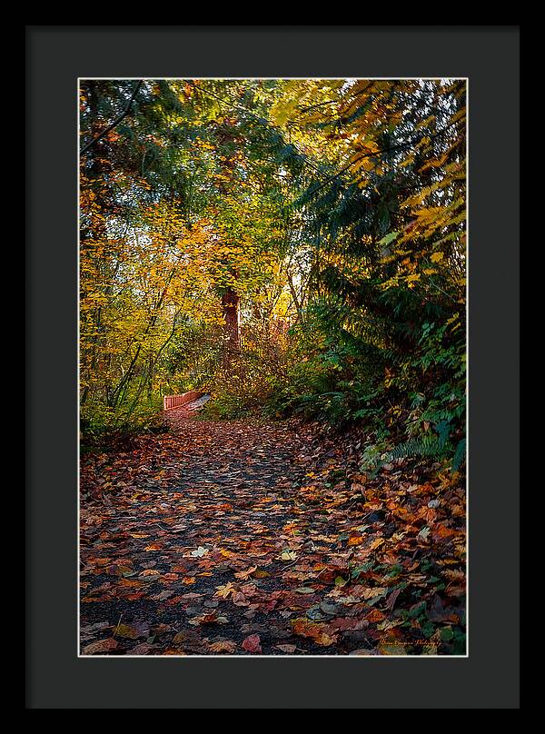 Walk in the park - Framed Print