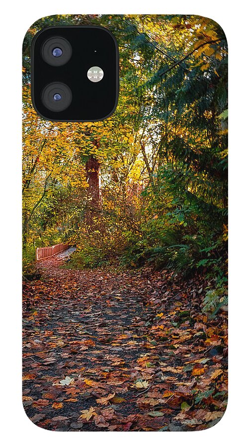 Walk in the park - Phone Case