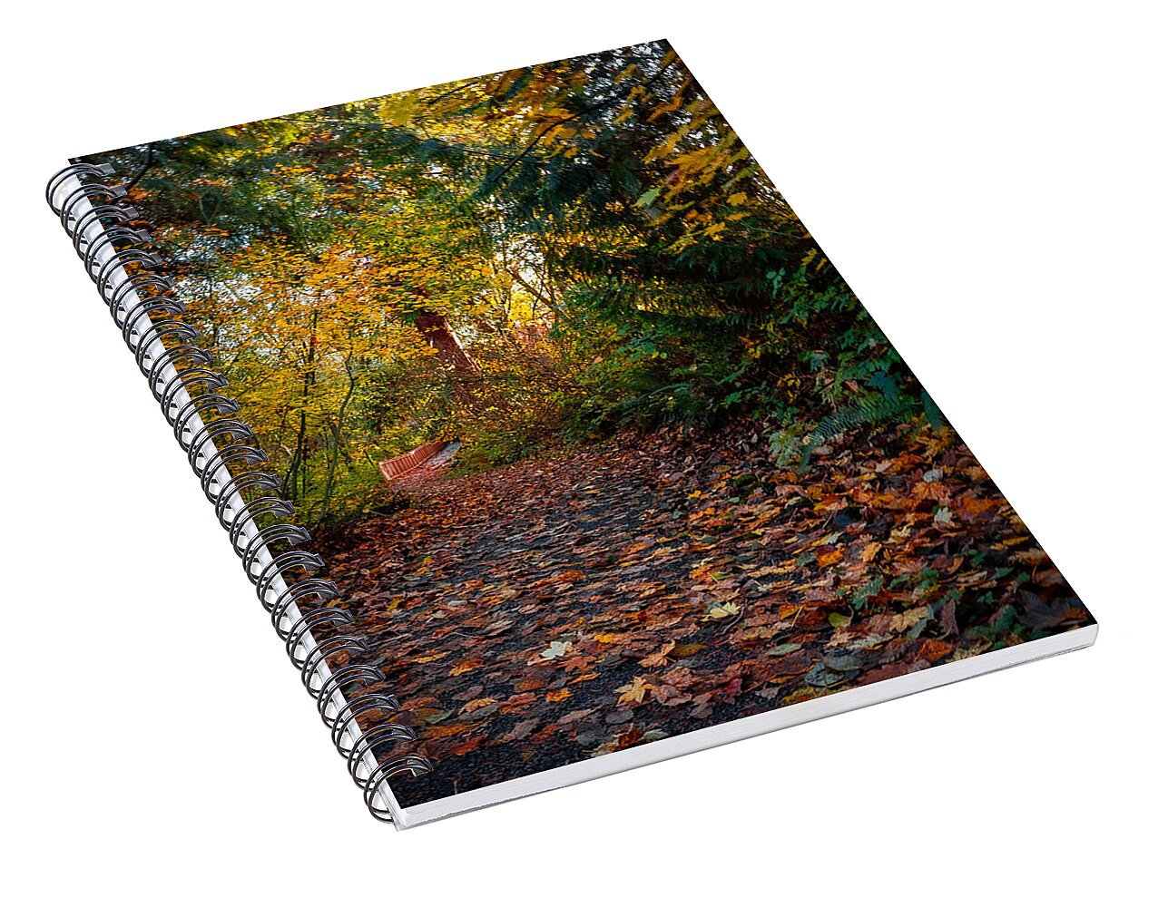 Walk in the park - Spiral Notebook