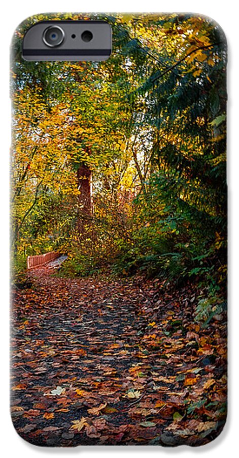 Walk in the park - Phone Case