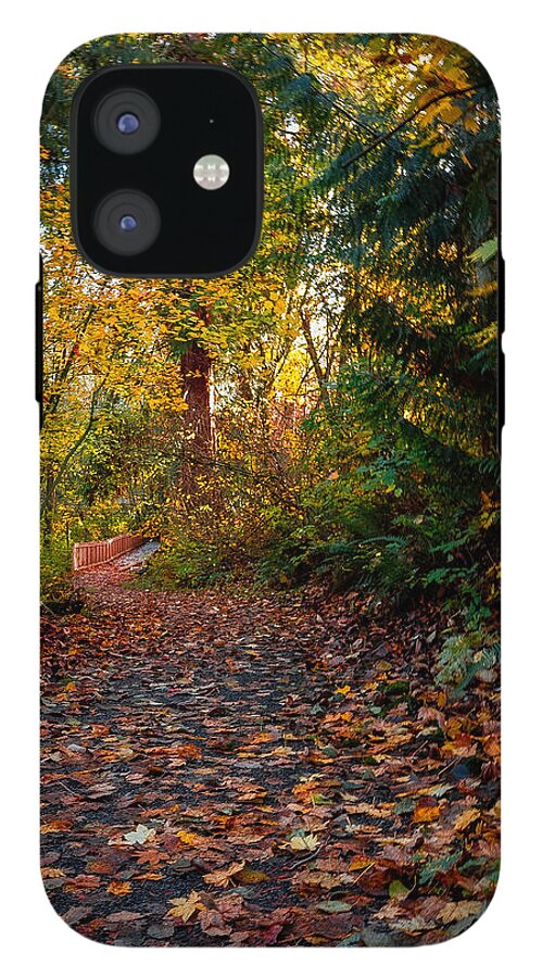 Walk in the park - Phone Case