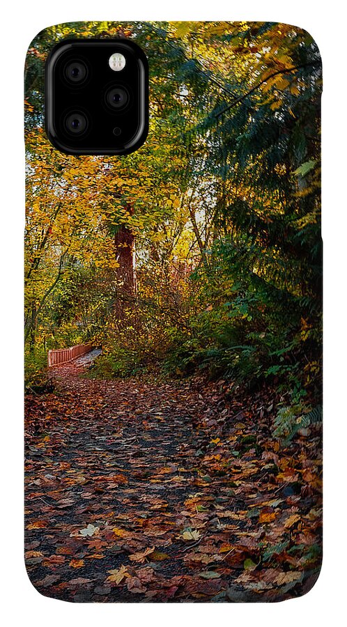 Walk in the park - Phone Case