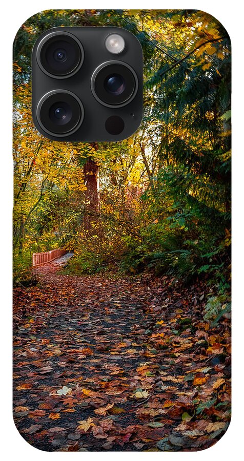 Walk in the park - Phone Case