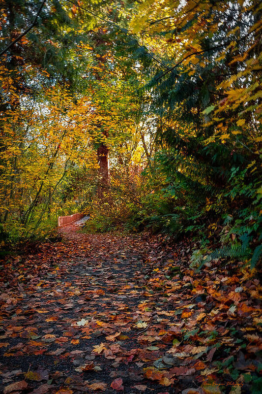 Walk in the park - Art Print