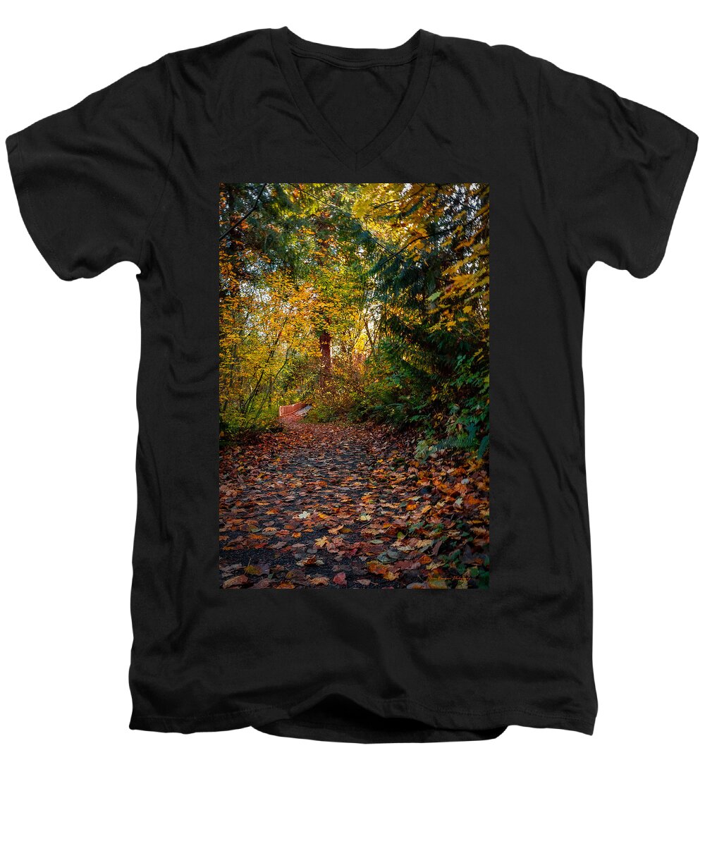 Walk in the park - Men's V-Neck T-Shirt