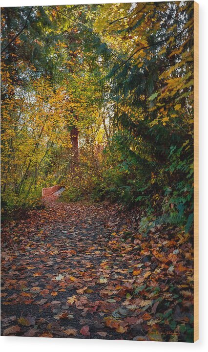 Walk in the park - Wood Print