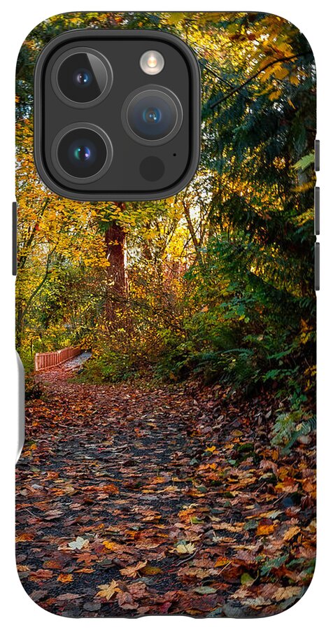 Walk in the park - Phone Case