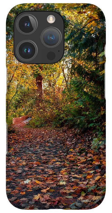 Walk in the park - Phone Case