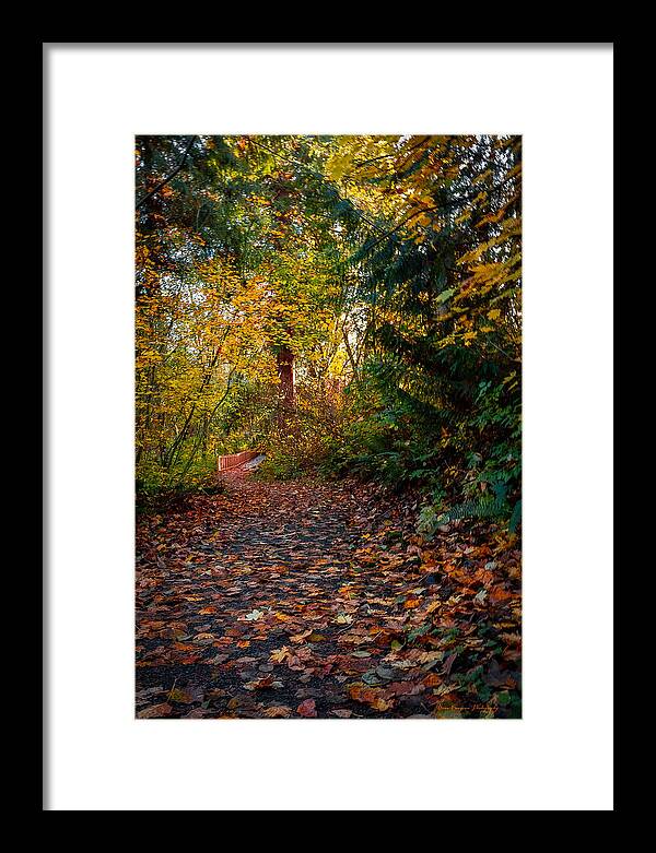 Walk in the park - Framed Print
