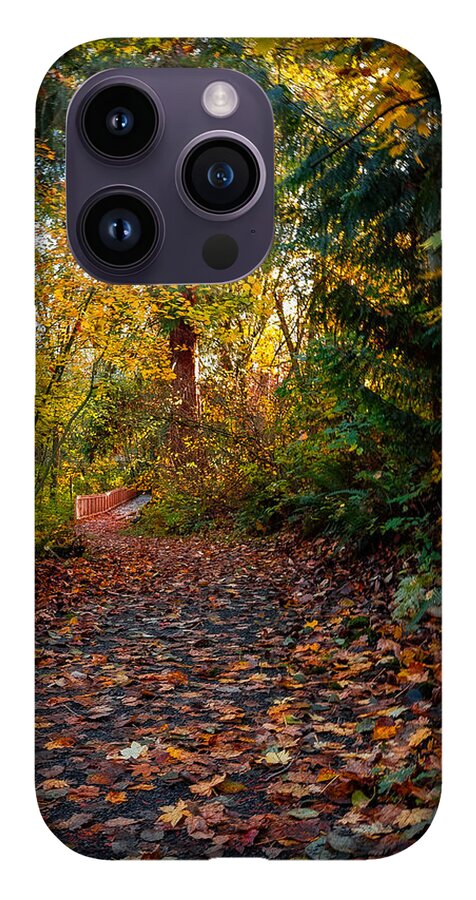 Walk in the park - Phone Case