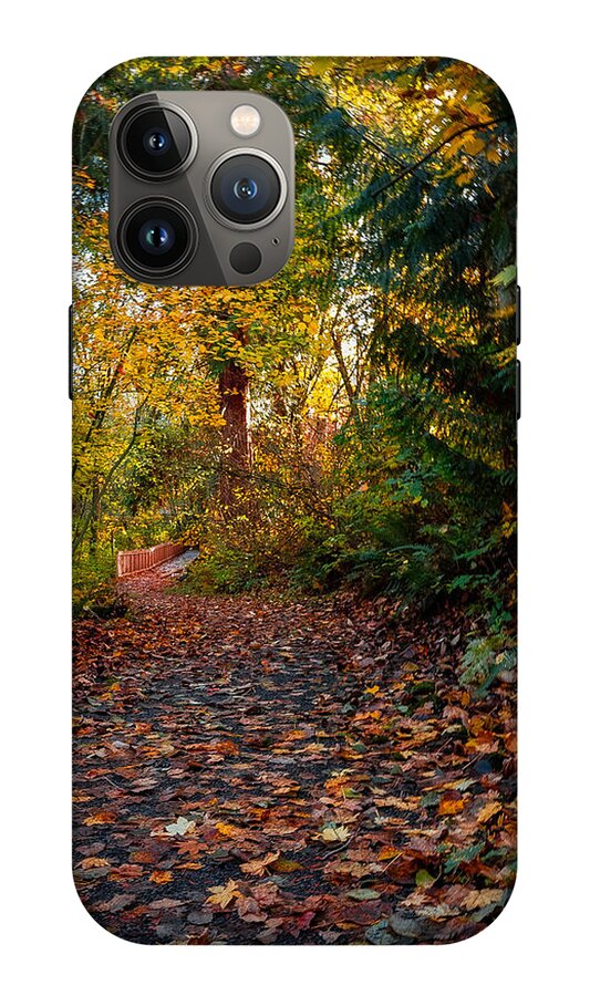 Walk in the park - Phone Case