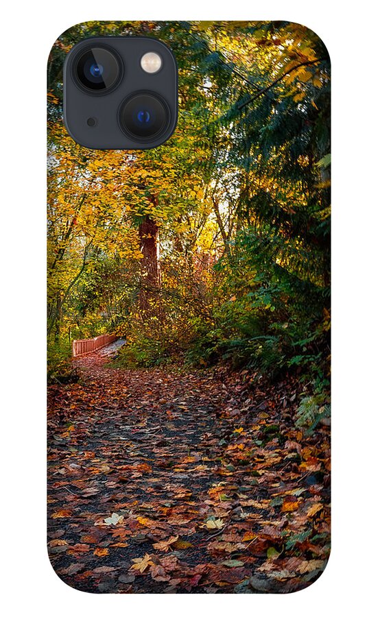 Walk in the park - Phone Case