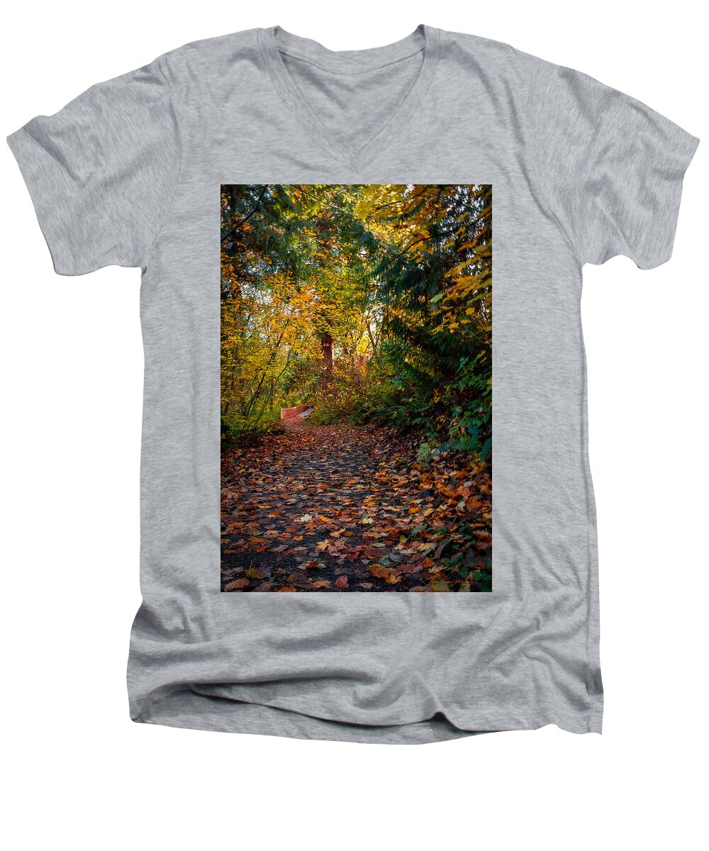 Walk in the park - Men's V-Neck T-Shirt