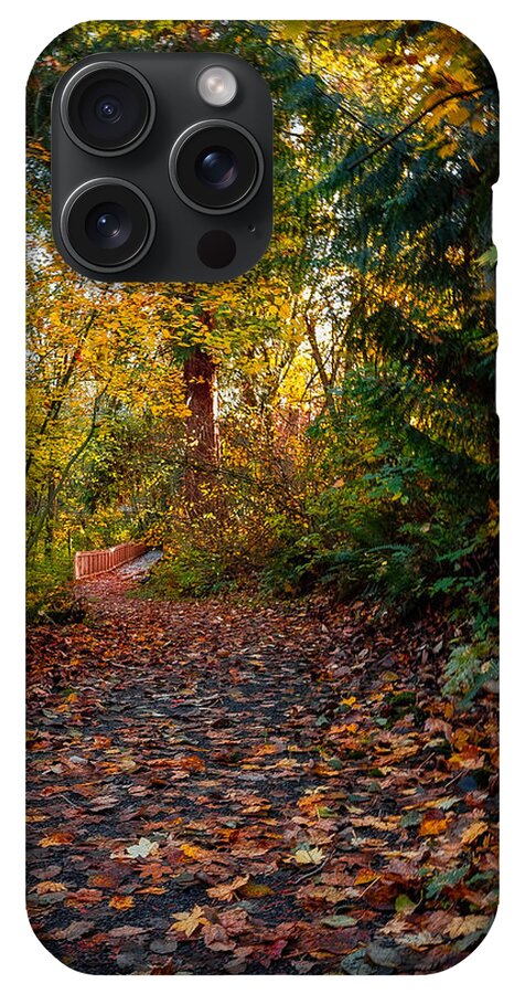 Walk in the park - Phone Case