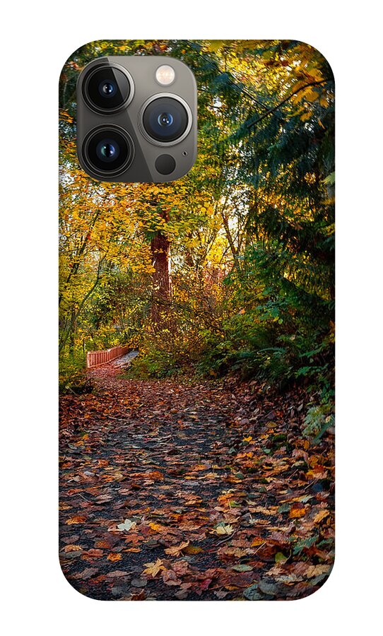 Walk in the park - Phone Case