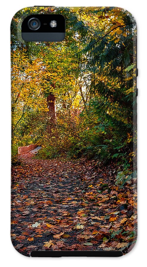 Walk in the park - Phone Case