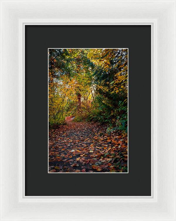 Walk in the park - Framed Print