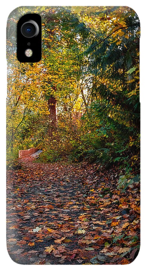 Walk in the park - Phone Case