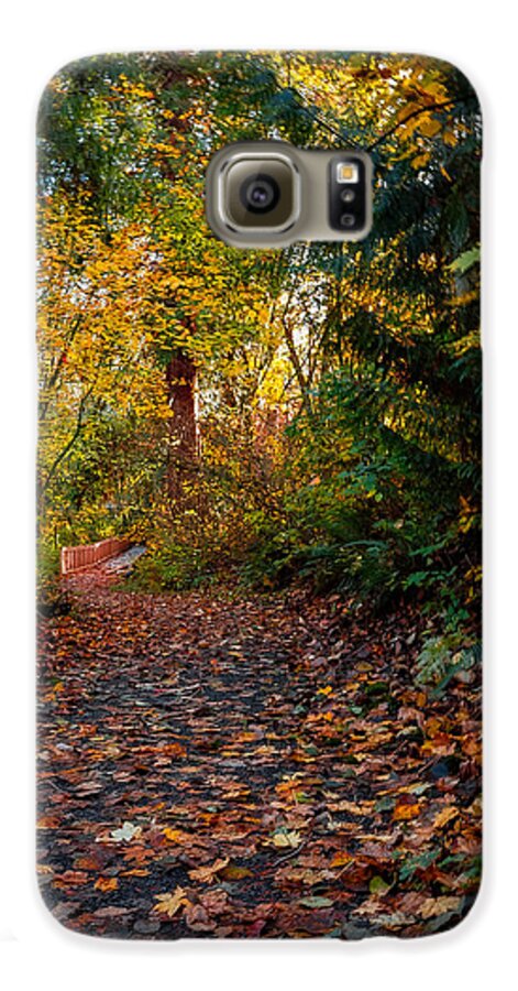 Walk in the park - Phone Case