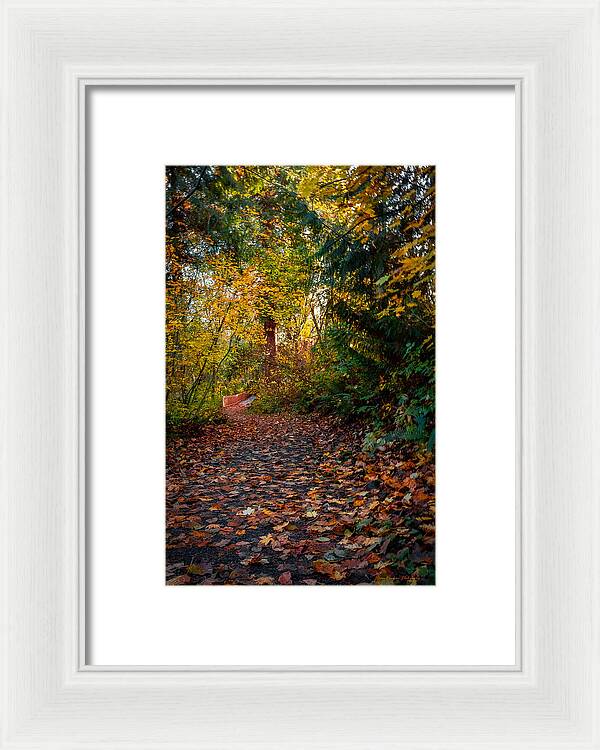 Walk in the park - Framed Print