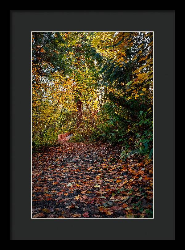 Walk in the park - Framed Print