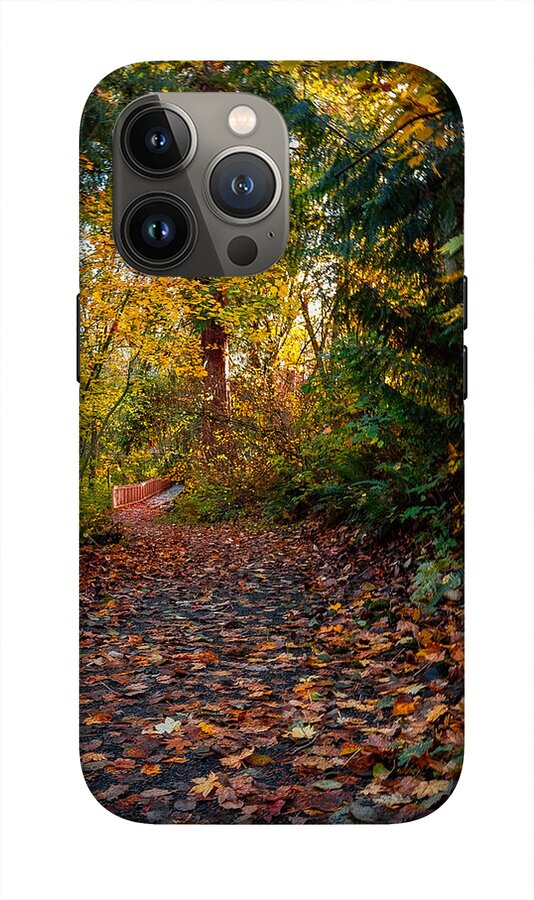 Walk in the park - Phone Case