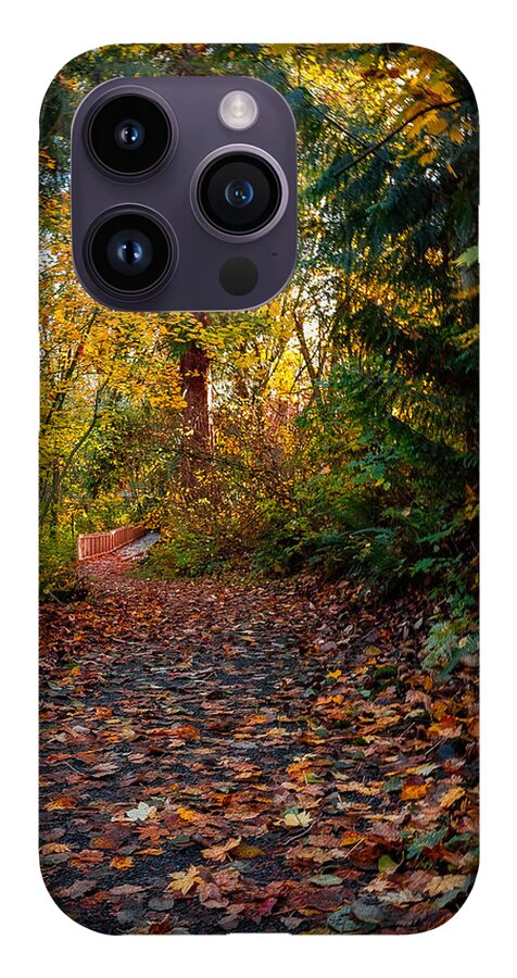Walk in the park - Phone Case