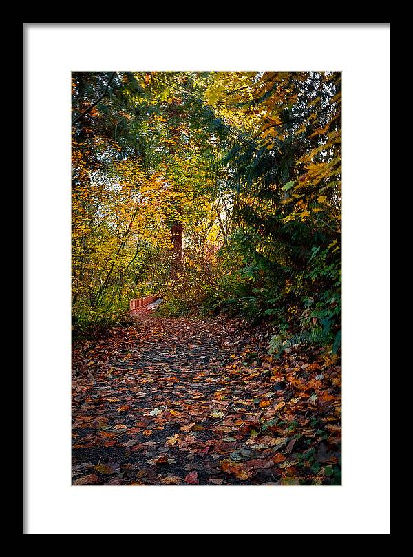 Walk in the park - Framed Print