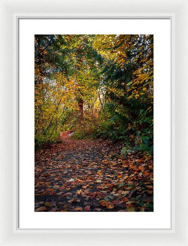 Walk in the park - Framed Print