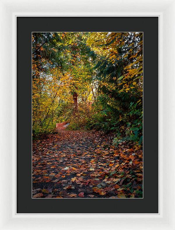 Walk in the park - Framed Print