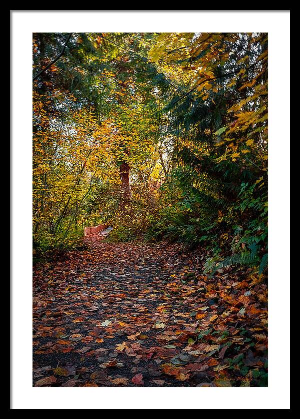 Walk in the park - Framed Print