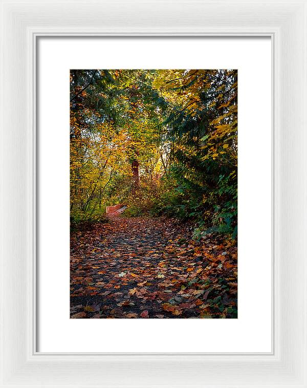 Walk in the park - Framed Print