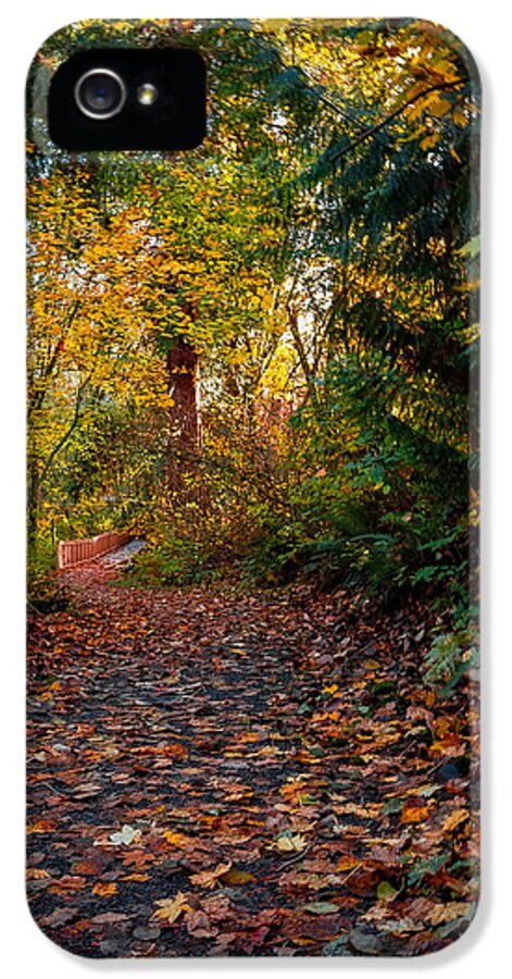 Walk in the park - Phone Case