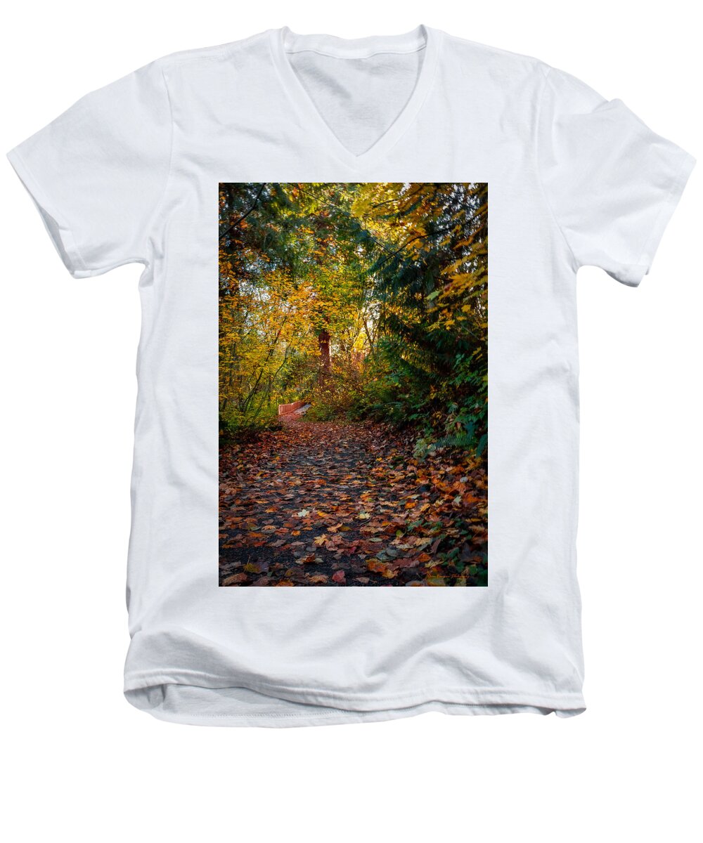 Walk in the park - Men's V-Neck T-Shirt
