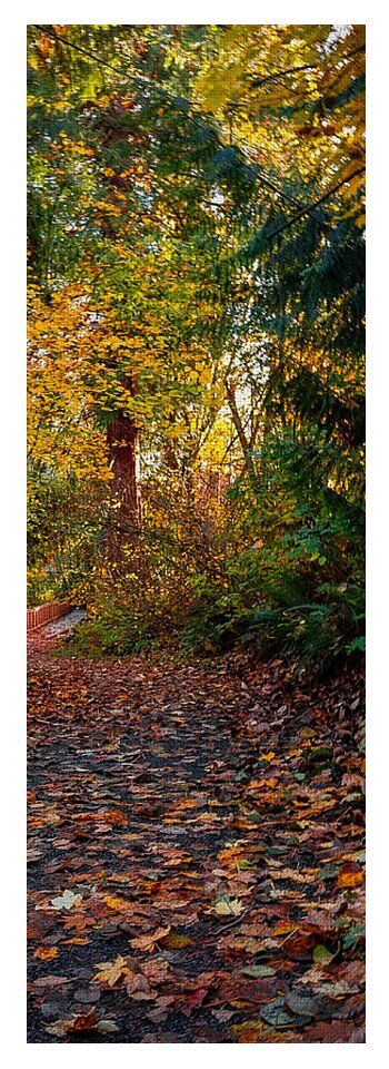 Walk in the park - Yoga Mat