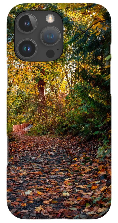 Walk in the park - Phone Case