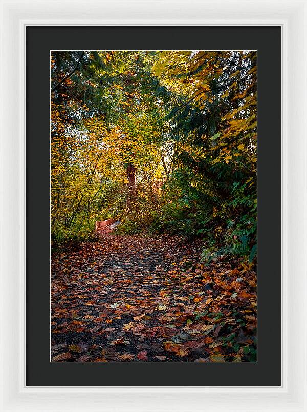 Walk in the park - Framed Print