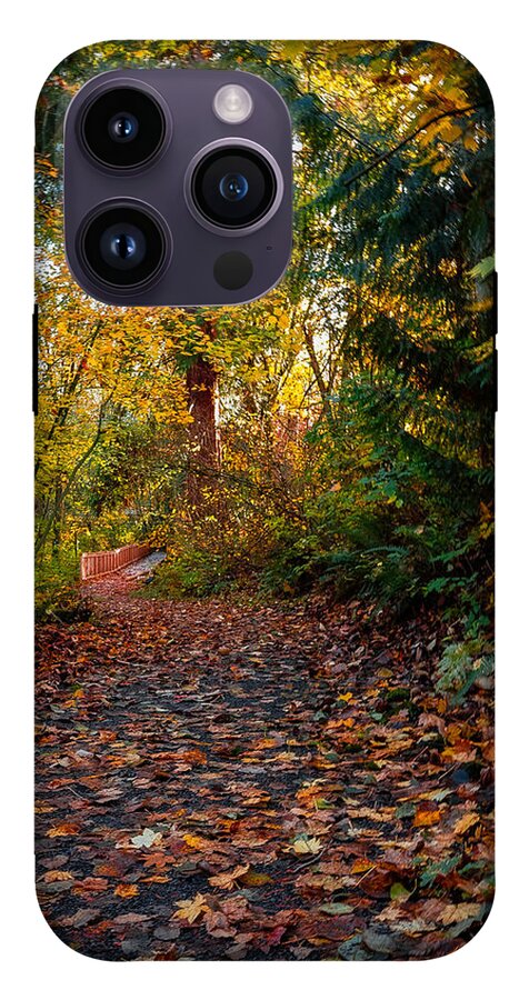 Walk in the park - Phone Case