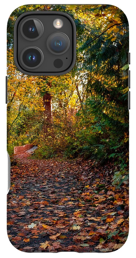Walk in the park - Phone Case