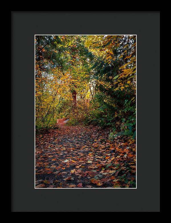 Walk in the park - Framed Print