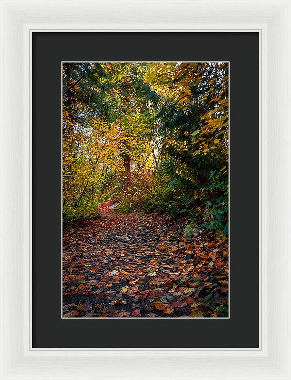 Walk in the park - Framed Print