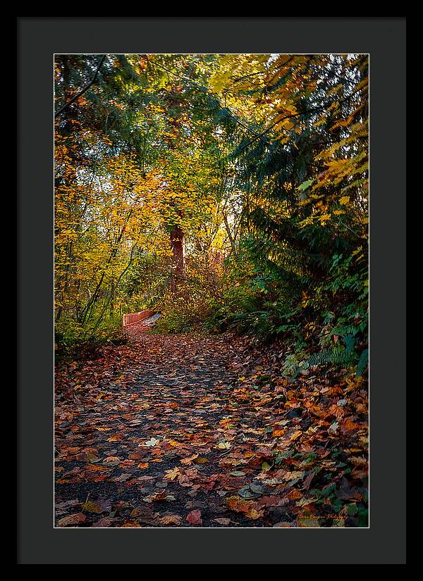 Walk in the park - Framed Print