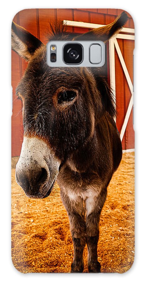 Who are you looking at - Phone Case