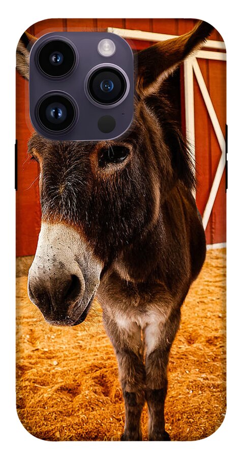 Who are you looking at - Phone Case