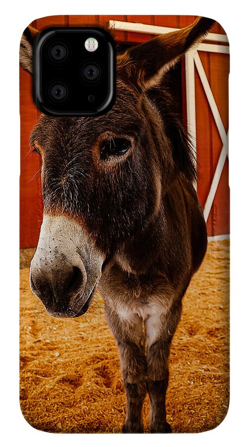Who are you looking at - Phone Case