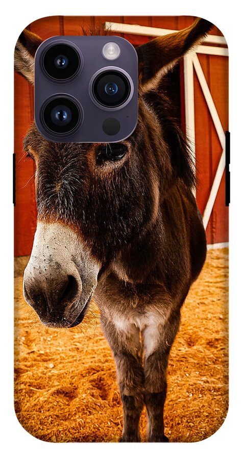 Who are you looking at - Phone Case