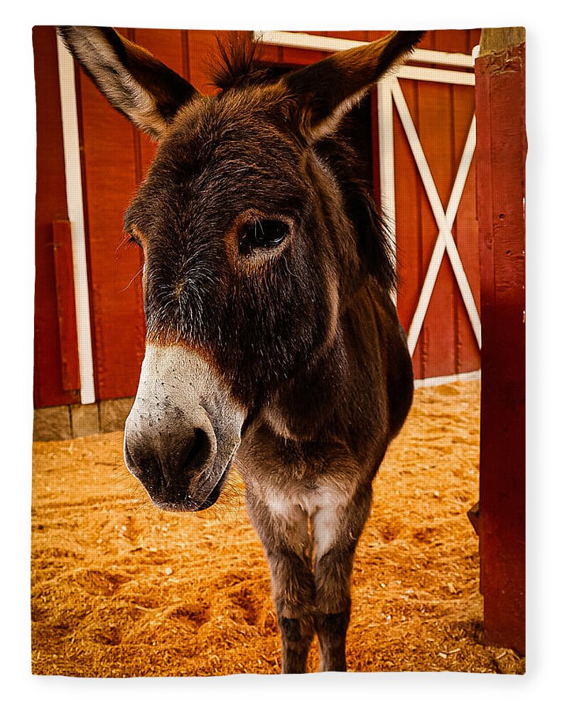 Who are you looking at - Blanket