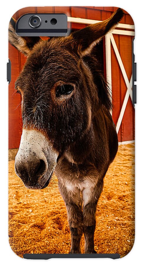 Who are you looking at - Phone Case