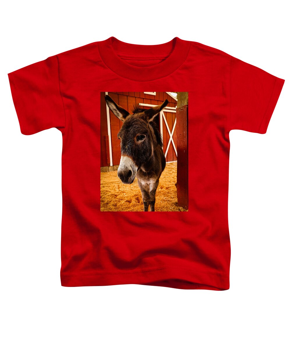 Who are you looking at - Toddler T-Shirt